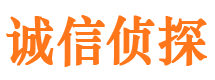 铜川市私家侦探